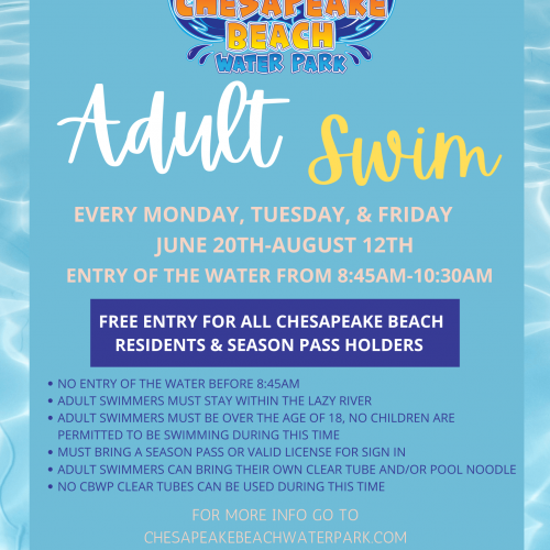 Adult Swim Flyer (1)